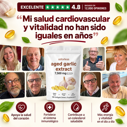Salvini Labs - Odorless Aged Garlic